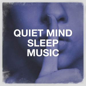 Musique du monde et relaxation的專輯Quiet Mind Sleep Music