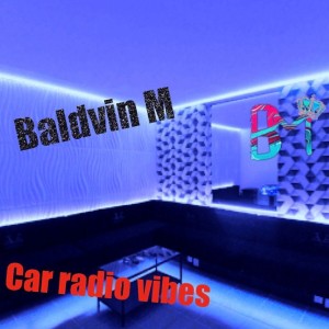 Album Car Radio Vibes from Baldvin M