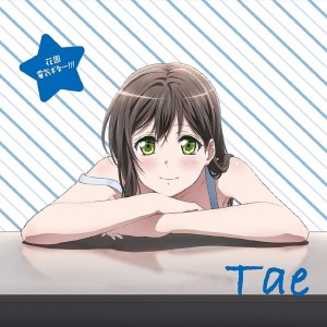 收听大塚紗英的花園電気ギター！！！歌词歌曲