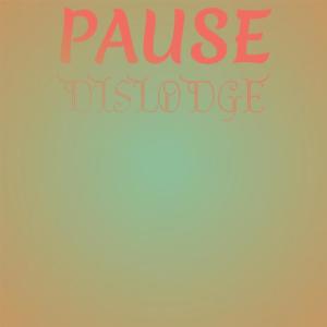 Various Artists的專輯Pause Dislodge