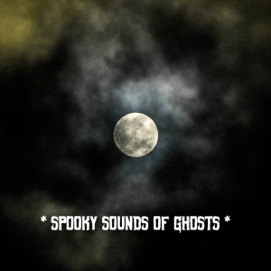 Halloween Sounds Effects Cult的專輯* Spooky Sounds Of Ghosts *