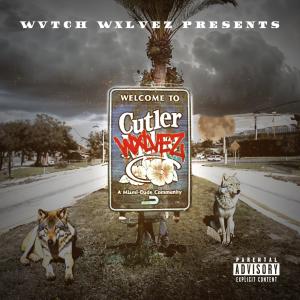 收聽GNP Arrow的TOTAL CONTROL (feat. SWAGGER, Silence, CaRaSi & Money Mogly) (Explicit)歌詞歌曲
