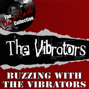 ดาวน์โหลดและฟังเพลง No Getting Over You (Live) พร้อมเนื้อเพลงจาก The Vibrators