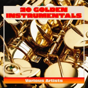 Various Artists的專輯20 Golden Instrumentals