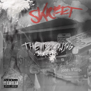 Dengarkan In Love With the Money (Explicit) lagu dari Skreet dengan lirik