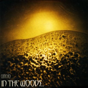 ดาวน์โหลดและฟังเพลง Weeping Willow พร้อมเนื้อเพลงจาก In The Woods...