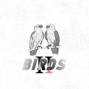 default album img