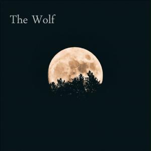 Jeff Heiniger的專輯The Wolf (Dark Nights Will Come) (feat. Rachel Darling) [Radio Edit]