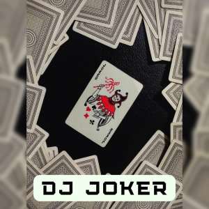 DJ Joker的专辑DJ Missing My Love -INST