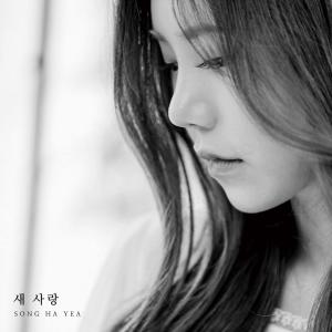 收聽宋荷藝的Another Love (Single Version)歌詞歌曲