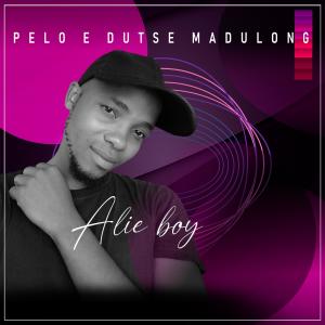 收聽Alie boy的Pelo E Dutse Madulong歌詞歌曲