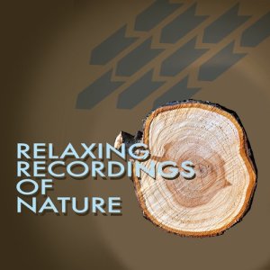 收聽Relaxing Nature的Birds of the Woods歌詞歌曲