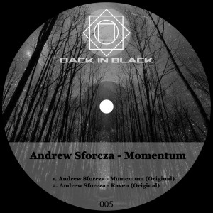 Listen to Momentum song with lyrics from Andrew Sforcza