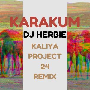 DJ Herbie的專輯Karakum (Kaliya Project 24 Remix)