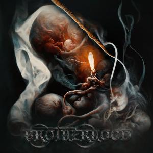 收听Baccoucha的Pulito (feat. Rav) (Explicit)歌词歌曲