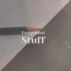 Album Exceptional Stuff from Alon Tint