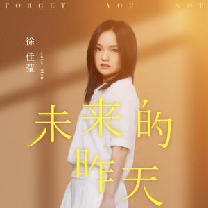 收聽徐佳瑩的未來的昨天歌詞歌曲