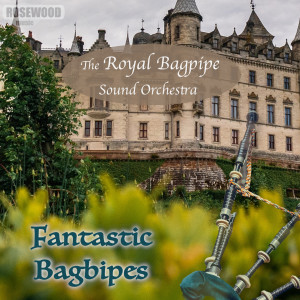 收聽The Royal Bagpipe Sound Orchestra的Auld Lang Syne歌詞歌曲