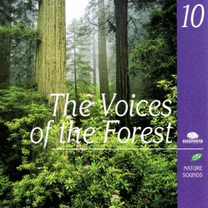 收聽Nature Sounds - Sons de la nature的The Voices Of The Forest (Les Voix De La Forêt)歌詞歌曲