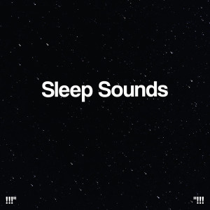 Nature Sounds Nature Music的專輯"!!! Sleep Sounds !!!"