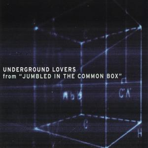 ดาวน์โหลดและฟังเพลง Jumbled In The Common Box (Radio Edit) พร้อมเนื้อเพลงจาก Underground Lovers