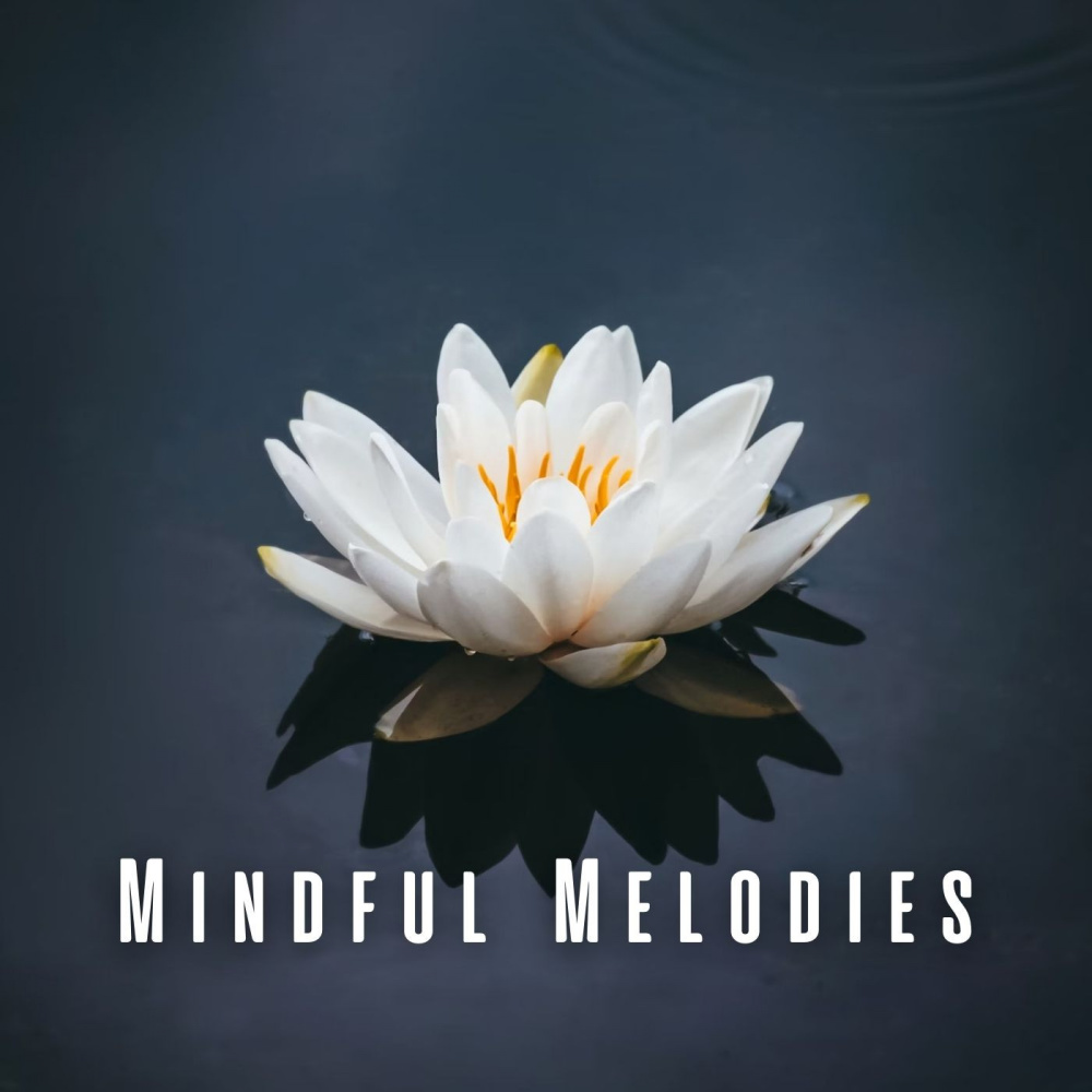 Blissful Zen Thoughts