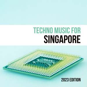 ดาวน์โหลดและฟังเพลง Turkish Smuggling (Vox Mix) พร้อมเนื้อเพลงจาก Manu P