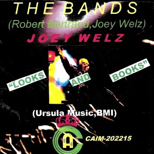 Joey Welz的專輯The Bands / Looks and Book