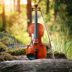 Nightly Relaxation Bliss的專輯Orchestra Of Quiet Storms: Music For Reflection