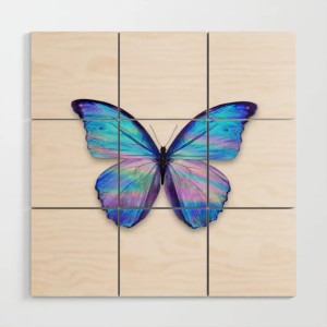 Album Butterfly from Krystal