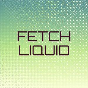 Album Fetch Liquid oleh Various