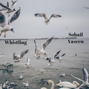 ดาวน์โหลดและฟังเพลง Whistling พร้อมเนื้อเพลงจาก Sohail Yaseen