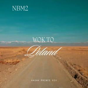 ดาวน์โหลดและฟังเพลง Wok to Poland (NBM2) (Explicit) พร้อมเนื้อเพลงจาก Kashh Prince XIV