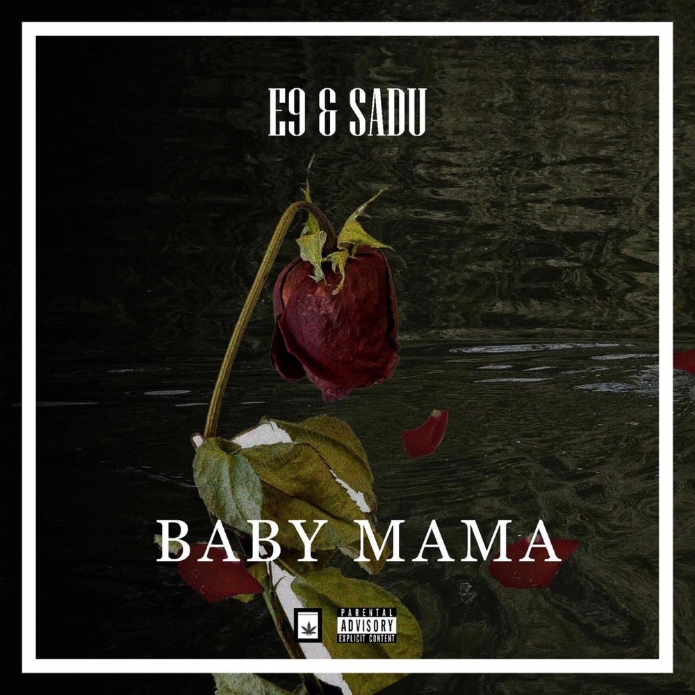 Baby Mama (Explicit)