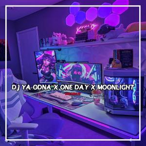 GANDY KOPITOY的專輯DJ YA ODNA X ONE DAY X MOONLIGHT BREAKBEAT
