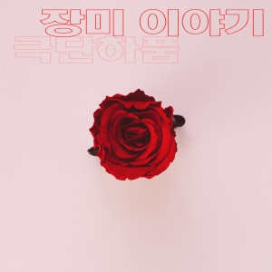 收聽극단하품的장미 이야기 (Inst.)歌詞歌曲