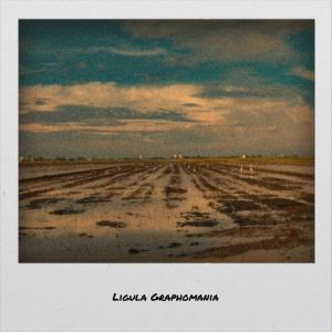 อัลบัม Ligula Graphomania ศิลปิน Various