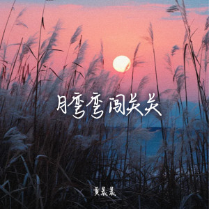 黄晨晨的专辑月弯弯闯关关