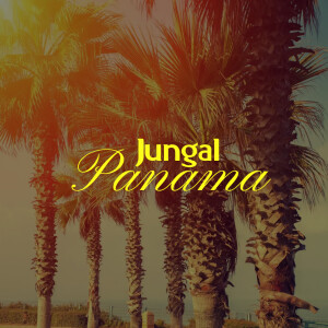 Album Jungal Panama from Pawan Gill Saiman
