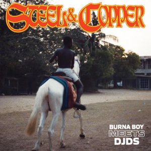 อัลบัม Steel & Copper ศิลปิน Burna Boy