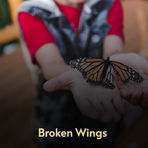 Listen to Broadway Stomp song with lyrics from Jack Pettis