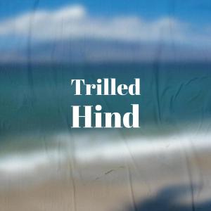 Listen to Drained Call song with lyrics from Grou Yham