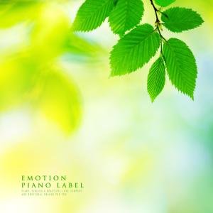 Album Healing Piano With Beautiful Natural Melody (Nature Ver.) oleh Various Artists