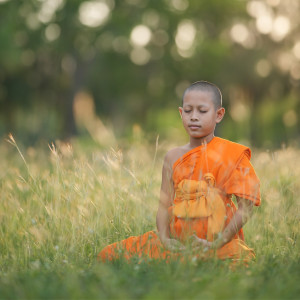 อัลบัม Harmony Within: Music for Peaceful Meditation ศิลปิน Meditation and Relaxation