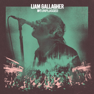 收聽Liam Gallagher的Now That I've Found You (MTV Unplugged Live at Hull City Hall)歌詞歌曲