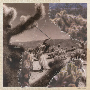 收聽Veegee的泰迪熊仙人掌 (teddy bear cholla)歌詞歌曲