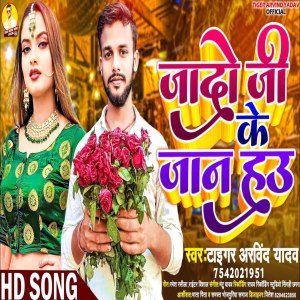 ดาวน์โหลดและฟังเพลง Jado Ji Ke Jaan Hau พร้อมเนื้อเพลงจาก Tiger Arvind Yadav