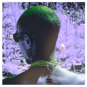 Listen to Bill$ Payed (Extended Version) (Explicit) (Extended Version|Explicit) song with lyrics from Nu Kamar