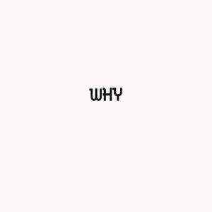 Album Why (Explicit) from The Wizard