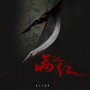 Listen to 满江红 song with lyrics from 小少焱